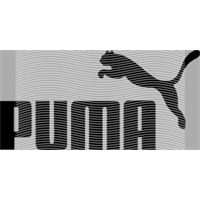 Brand Catalog-ZX 573